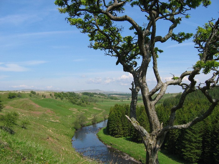 Between Sorn and Muirkirk on the River Ayr Way