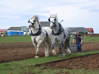 Mauchline ploughing competition