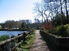 Voes path to Bowling Green