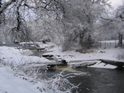 Anderson's pool December 24th 2009