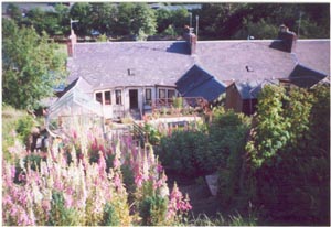 Looking down the garden