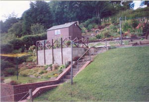 Looking up the garden